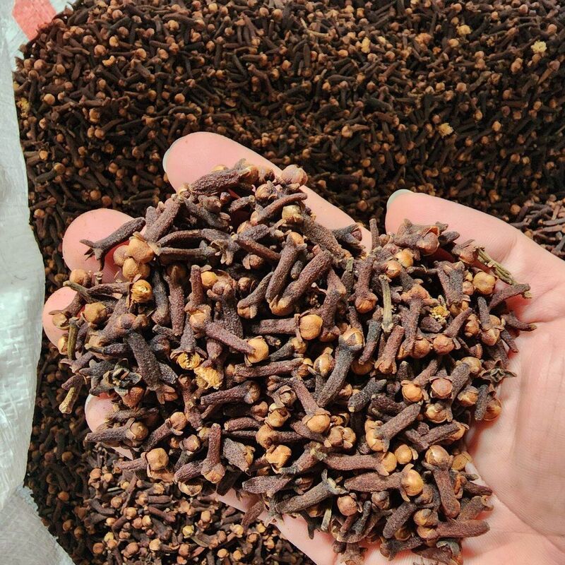 Cengkeh Kering Premium pilihan yang telah melalui proses pengeringan secara alami yang dilakukan oleh petani langsung. Kami bekerja sama dengan beberapa petani cengkeh di Bali dengan tujuan untuk mendapatkan harga terbaik antara petani dengan pembeli